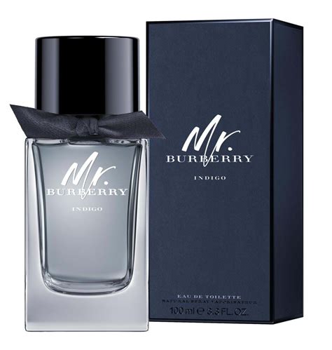 describe mr burberry cologne|mr Burberry indigo fragrantica.